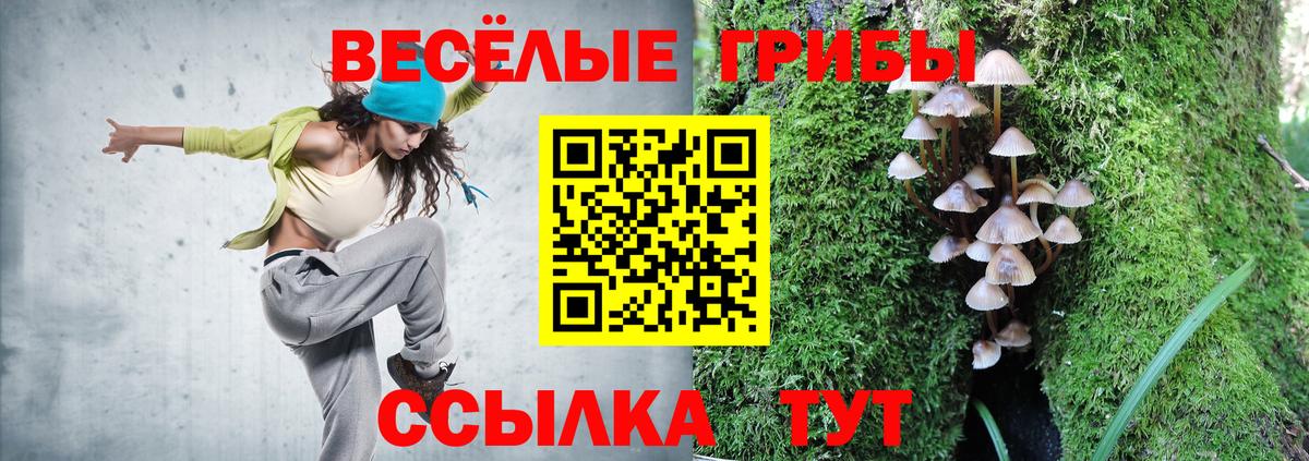 Нерюнгри  Псилоцибиновые грибы мухоморы  Вход с VPN 