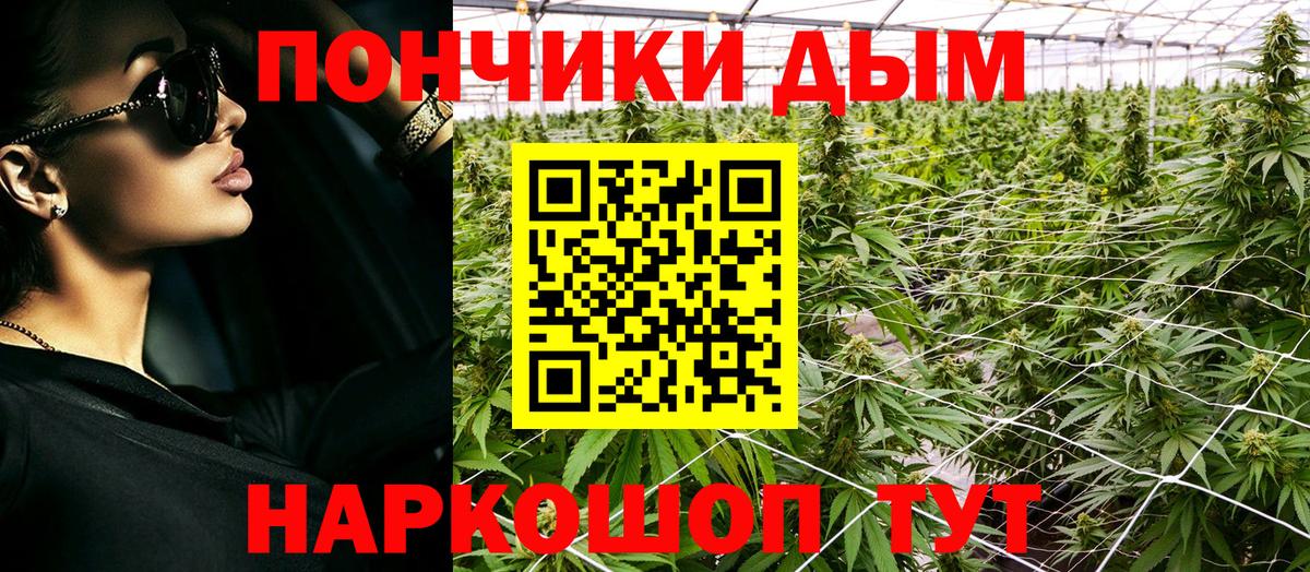 МАРИХУАНА ГИДРОПОН Нерюнгри